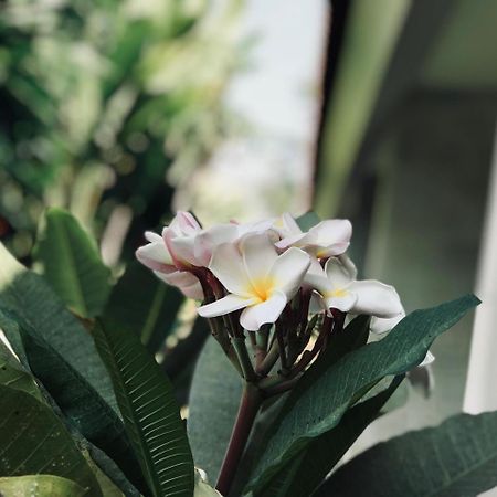 El Homestay Bali Νούσα Ντούα Εξωτερικό φωτογραφία