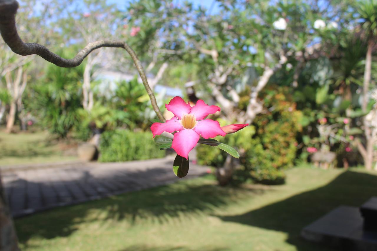 El Homestay Bali Νούσα Ντούα Εξωτερικό φωτογραφία