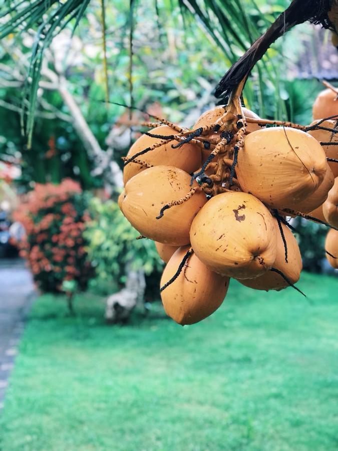 El Homestay Bali Νούσα Ντούα Εξωτερικό φωτογραφία