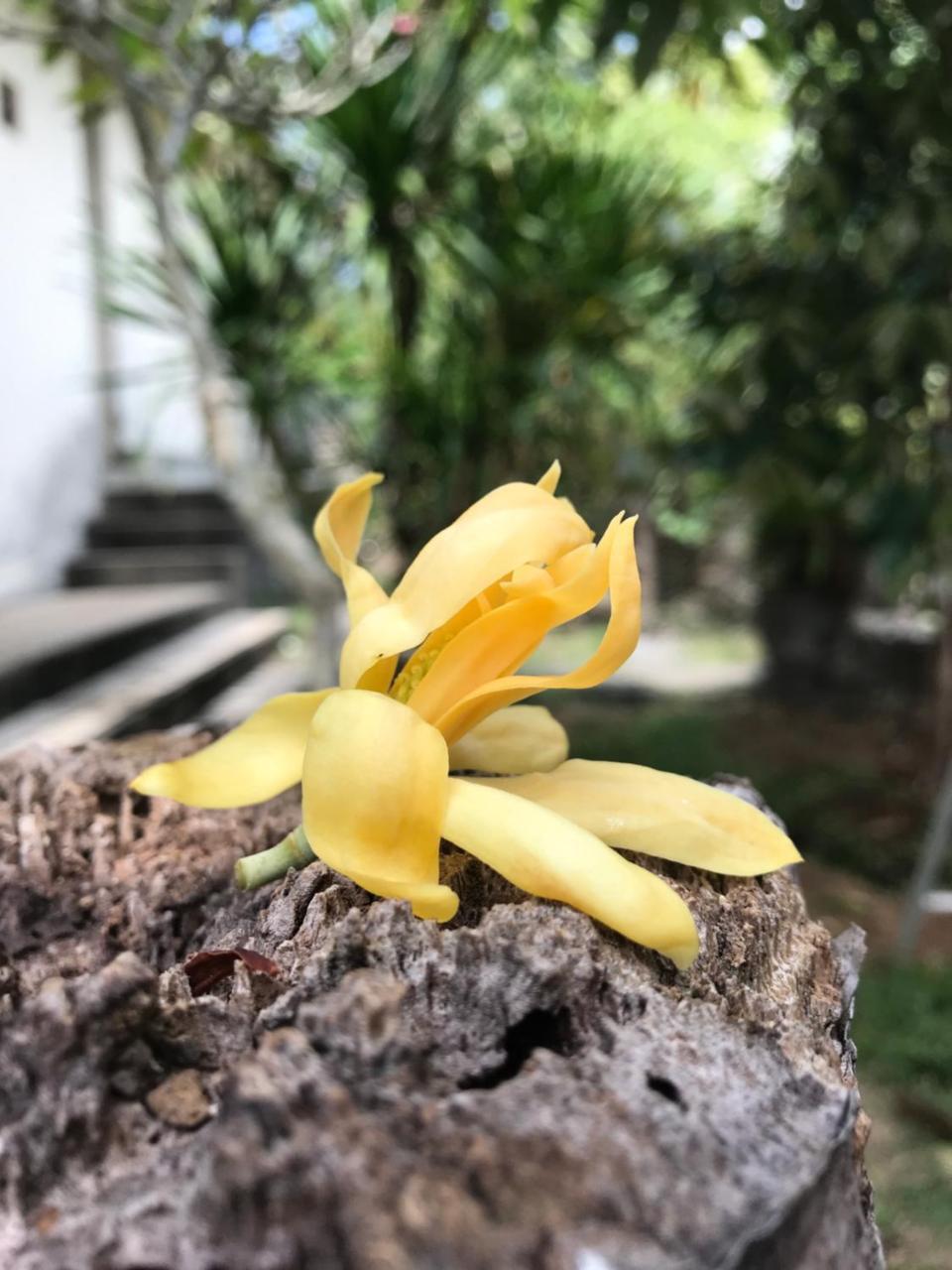 El Homestay Bali Νούσα Ντούα Εξωτερικό φωτογραφία