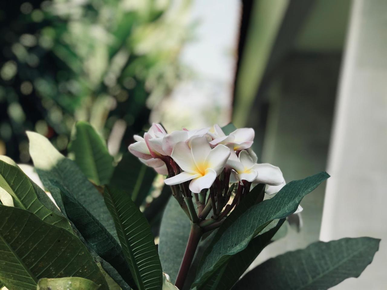 El Homestay Bali Νούσα Ντούα Εξωτερικό φωτογραφία